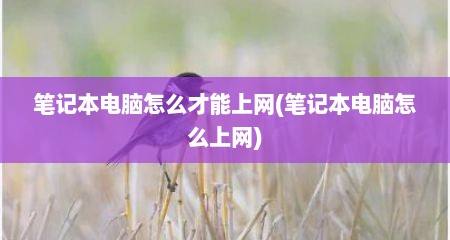 笔记本电脑怎么才能上网(笔记本电脑怎么上网)