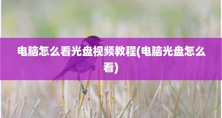 电脑怎么看光盘视频教程(电脑光盘怎么看)