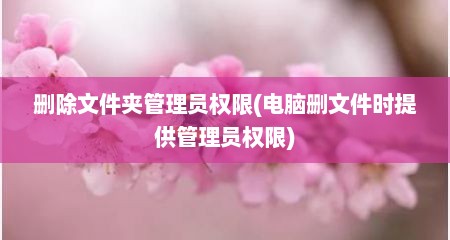 删除文件夹管理员权限(电脑删文件时提供管理员权限)