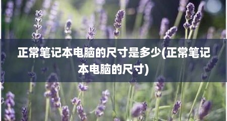 正常笔记本电脑的尺寸是多少(正常笔记本电脑的尺寸)