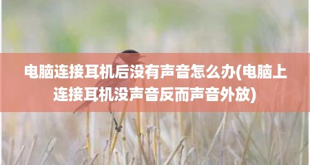 电脑连接耳机后没有声音怎么办(电脑上连接耳机没声音反而声音外放)