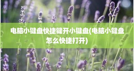 电脑小键盘快捷键开小键盘(电脑小键盘怎么快捷打开)
