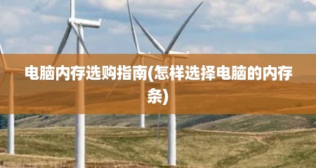 电脑内存选购指南(怎样选择电脑的内存条)