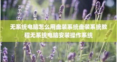 无系统电脑怎么用盘装系统盘装系统教程无系统电脑安装操作系统
