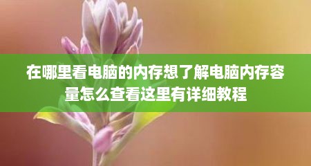 在哪里看电脑的内存想了解电脑内存容量怎么查看这里有详细教程