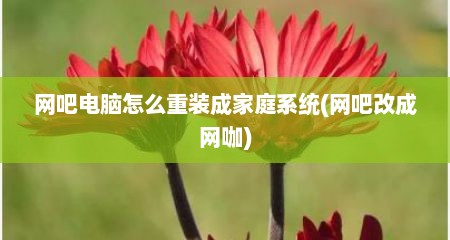 网吧电脑怎么重装成家庭系统(网吧改成网咖)