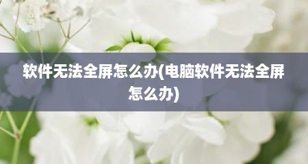软件无法全屏怎么办(电脑软件无法全屏怎么办)