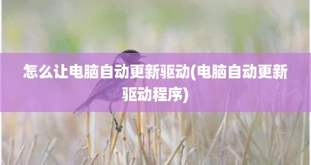 怎么让电脑自动更新驱动(电脑自动更新驱动程序)