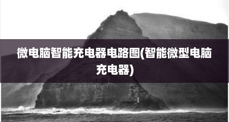 微电脑智能充电器电路图(智能微型电脑充电器)