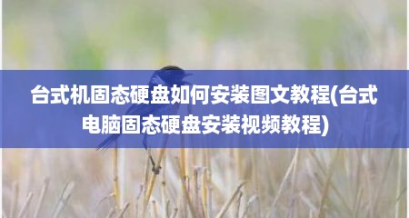台式机固态硬盘如何安装图文教程(台式电脑固态硬盘安装视频教程)