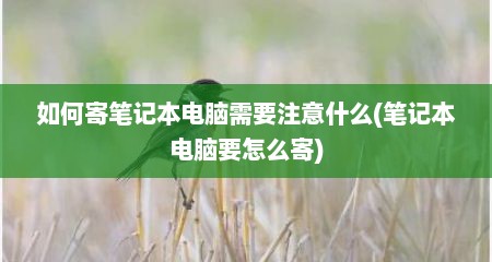 如何寄笔记本电脑需要注意什么(笔记本电脑要怎么寄)