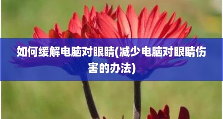 如何缓解电脑对眼睛(减少电脑对眼睛伤害的办法)