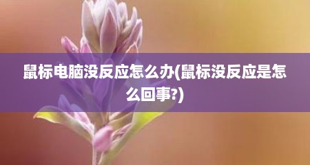 鼠标电脑没反应怎么办(鼠标没反应是怎么回事?)