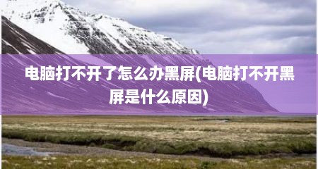 电脑打不开了怎么办黑屏(电脑打不开黑屏是什么原因)