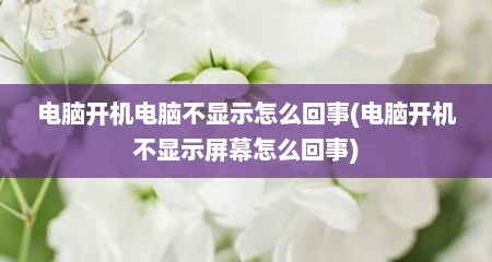 电脑开机电脑不显示怎么回事(电脑开机不显示屏幕怎么回事)