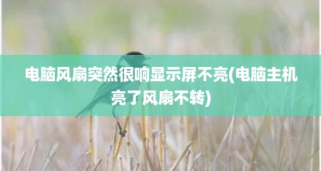 电脑风扇突然很响显示屏不亮(电脑主机亮了风扇不转)
