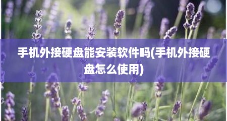 手机外接硬盘能安装软件吗(手机外接硬盘怎么使用)
