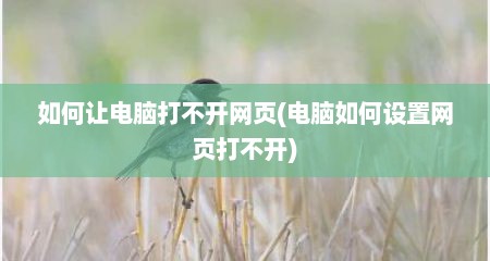 如何让电脑打不开网页(电脑如何设置网页打不开)