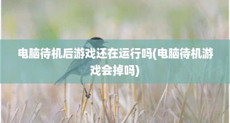 电脑待机后游戏还在运行吗(电脑待机游戏会掉吗)