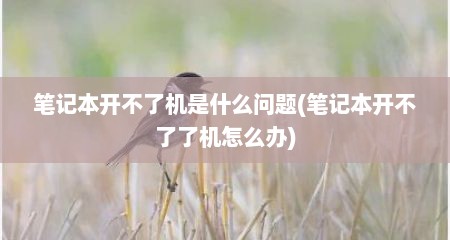 笔记本开不了机是什么问题(笔记本开不了了机怎么办)