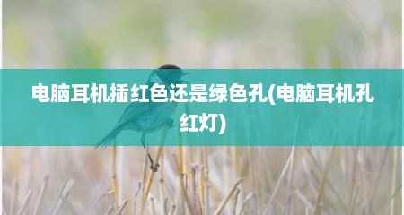 电脑耳机插红色还是绿色孔(电脑耳机孔红灯)