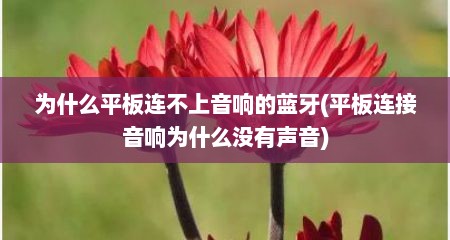 为什么平板连不上音响的蓝牙(平板连接音响为什么没有声音)