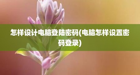 怎样设计电脑登陆密码(电脑怎样设置密码登录)