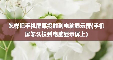 怎样把手机屏幕投射到电脑显示屏(手机屏怎么投到电脑显示屏上)