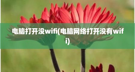 电脑打开没wifi(电脑网络打开没有wifi)