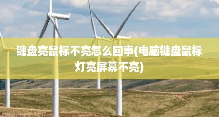 键盘亮鼠标不亮怎么回事(电脑键盘鼠标灯亮屏幕不亮)