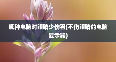 哪种电脑对眼睛少伤害(不伤眼睛的电脑显示器)