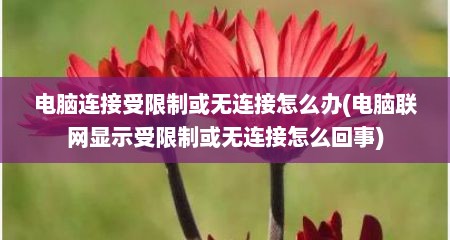 电脑连接受限制或无连接怎么办(电脑联网显示受限制或无连接怎么回事)