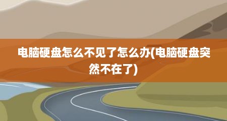 电脑硬盘怎么不见了怎么办(电脑硬盘突然不在了)