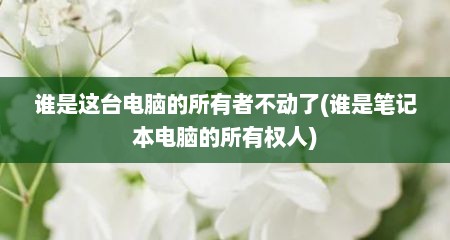 谁是这台电脑的所有者不动了(谁是笔记本电脑的所有权人)