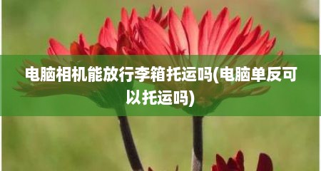 电脑相机能放行李箱托运吗(电脑单反可以托运吗)