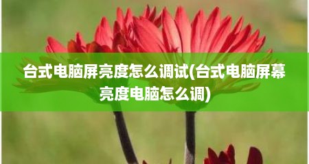 台式电脑屏亮度怎么调试(台式电脑屏幕亮度电脑怎么调)