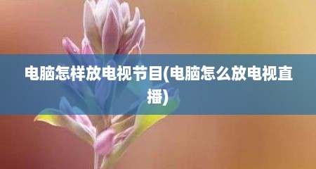 电脑怎样放电视节目(电脑怎么放电视直播)