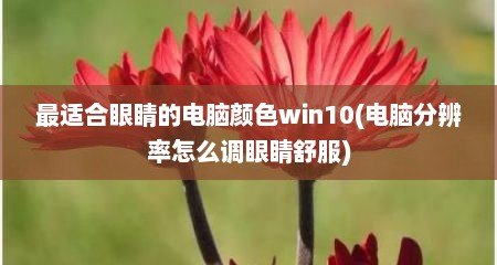 最适合眼睛的电脑颜色win10(电脑分辨率怎么调眼睛舒服)