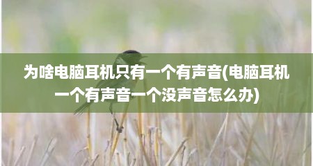 为啥电脑耳机只有一个有声音(电脑耳机一个有声音一个没声音怎么办)