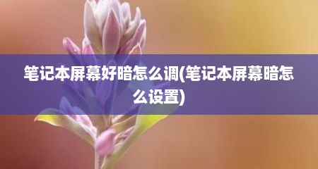 笔记本屏幕好暗怎么调(笔记本屏幕暗怎么设置)