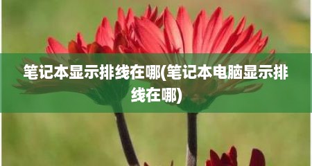 笔记本显示排线在哪(笔记本电脑显示排线在哪)
