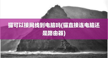 猫可以接网线到电脑吗(猫直接连电脑还是路由器)