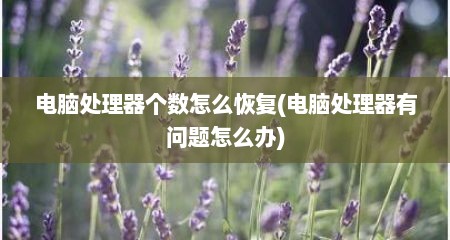 电脑处理器个数怎么恢复(电脑处理器有问题怎么办)
