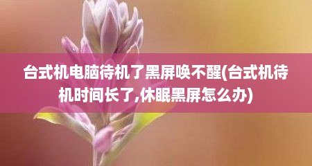 台式机电脑待机了黑屏唤不醒(台式机待机时间长了,休眠黑屏怎么办)