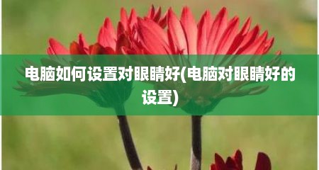 电脑如何设置对眼睛好(电脑对眼睛好的设置)
