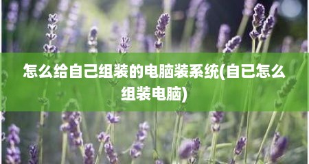 怎么给自己组装的电脑装系统(自已怎么组装电脑)