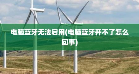 电脑蓝牙无法启用(电脑蓝牙开不了怎么回事)