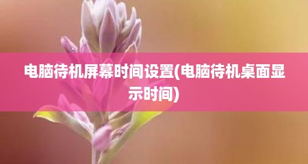 电脑待机屏幕时间设置(电脑待机桌面显示时间)