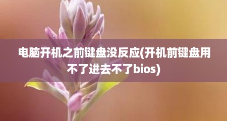 电脑开机之前键盘没反应(开机前键盘用不了进去不了bios)