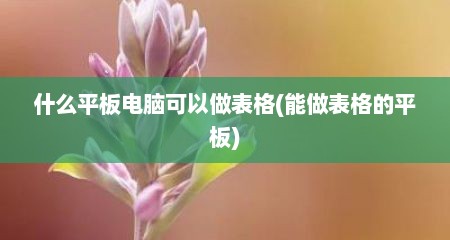 什么平板电脑可以做表格(能做表格的平板)